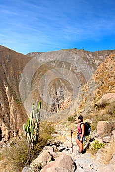 The Colca Canyon