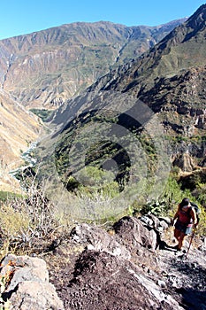 The Colca Canyon