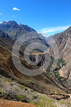 The Colca Canyon