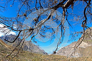 The Colca Canyon