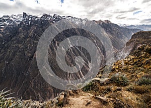 Colca Canyon Overview