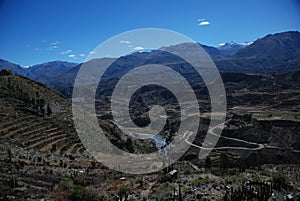 Colca Canyon of Peru photo