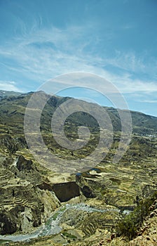 Colca canyon in Peru