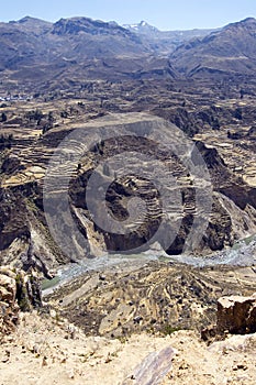 Colca Canyon Peru