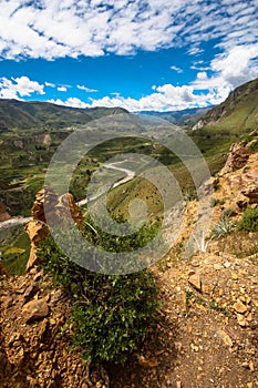 Colca Canyon