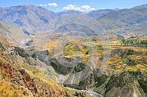Colca Canyon, Peru,South America.