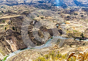 Colca Canyon, Peru,South America. Incas to build Farming terraces with Pond and Cliff. One of the deepest canyons in the wor