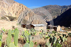 The Colca Canyon small village