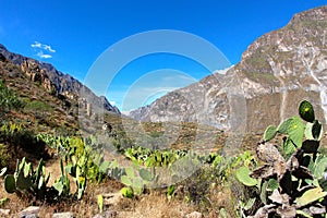 The Colca Canyon valley