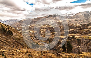 Colca Canyon View Panorama