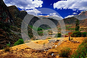 Colca Valley Landscape, Peru
