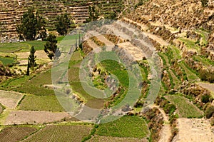 Colca Valley, Peru photo