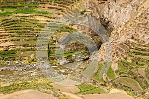 Colca Valley, Peru photo