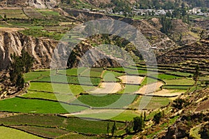 Colca Valley, Peru photo