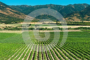 Colchagua Valley