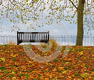 colchester castle park autumn uk