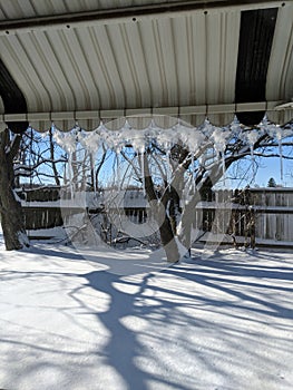 so cold, so beautiful