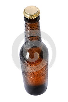 Cold Beer Bottle