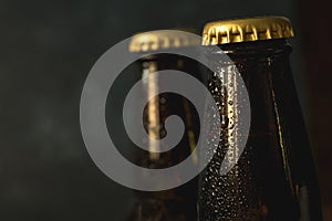 Cold beer bottle in droplets of water of their refrigerator