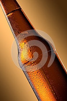 Cold beer bottle. Fresh beer bottle concept.