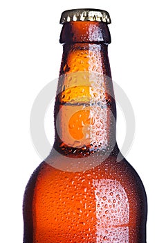 Cold Beer Bottle