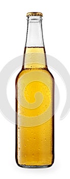 Cold beer or cider in glass bottle