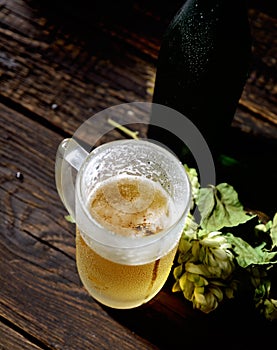 Cold beer in glass, bottle and hops on a dark wooden background