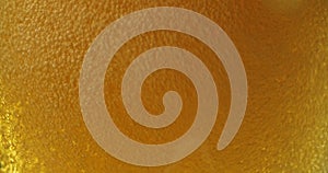 Cold beer is poured into a glass. Cold Light Beer in a glass with water drops. Freshness and froth.