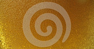 Cold beer is poured into a glass. Cold Light Beer in a glass with water drops. Freshness and froth.