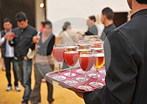 Cold beer and soft drinks, bartender, catering service