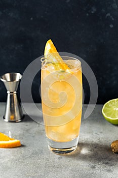 Cold Boozy Rum Anejo Highball Cocktail photo