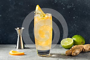 Cold Boozy Rum Anejo Highball Cocktail photo