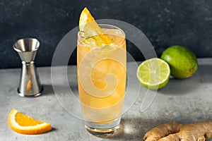 Cold Boozy Rum Anejo Highball Cocktail photo