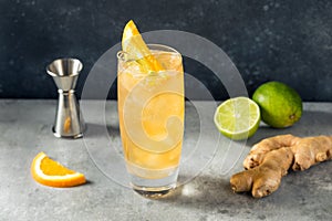 Cold Boozy Rum Anejo Highball Cocktail photo