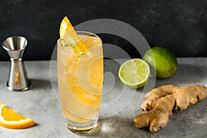 Cold Boozy Rum Anejo Highball Cocktail photo