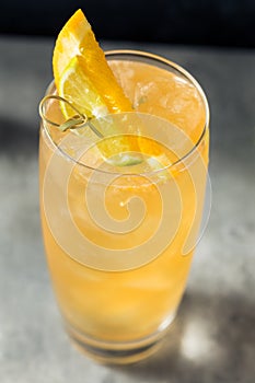 Cold Boozy Rum Anejo Highball Cocktail photo