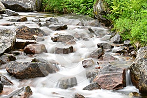 Cold, clear alpine mountain stream