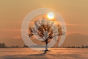 Cold ,but colorful February evening in Lithuania