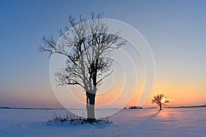 Cold ,but colorful February evening in Lithuania