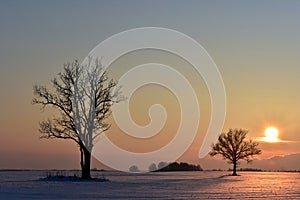 Cold ,but colorful February evening in Lithuania