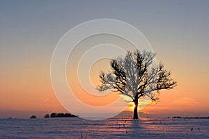 Cold ,but colorful February evening in Lithuania