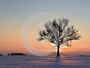 Cold ,but colorful winter evening in Lithuania.