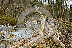 Cold Creak Waterfalls