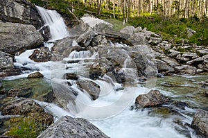 Cold creek in cold valley, High Tatras, Slovakia