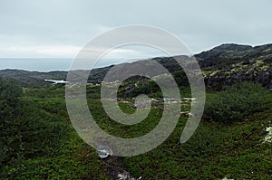 Cold dark green arctic hills with granite rocks with lichen, moss, swamp and grey Arctic Ocean in cloudy weather, arctic landscape