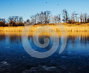 Cold day and first ice on lake.