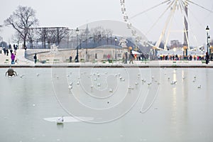 Cold day in Paris photo