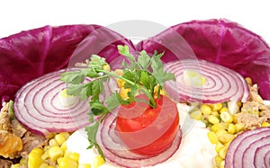 Cold dish decorated with purple onion and cabbage