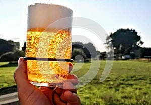 Cold draught pale ale beer in sunny nature