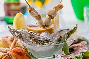 Cold fish appetizers